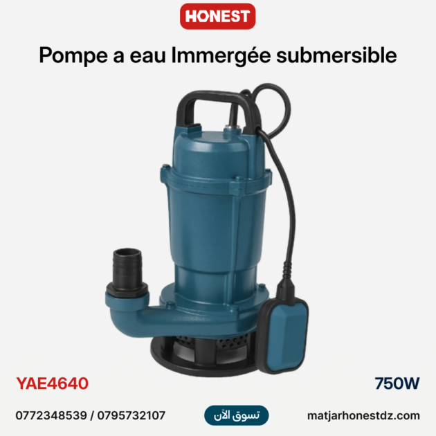Pompe a eau Immergée 750W HONESTPRO | YAE4640
